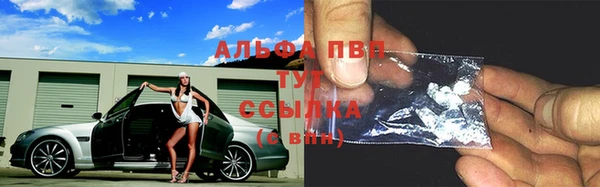 молекула духа Надым