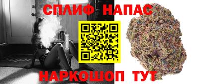 spice Ярославль