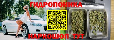 spice Ярославль