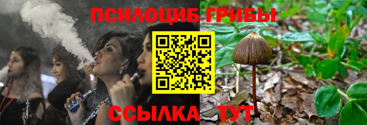 Саратов  Галлюциногенные грибы Magic Shrooms  Галлюциногенные грибы прущие грибы  Вход с VPN 